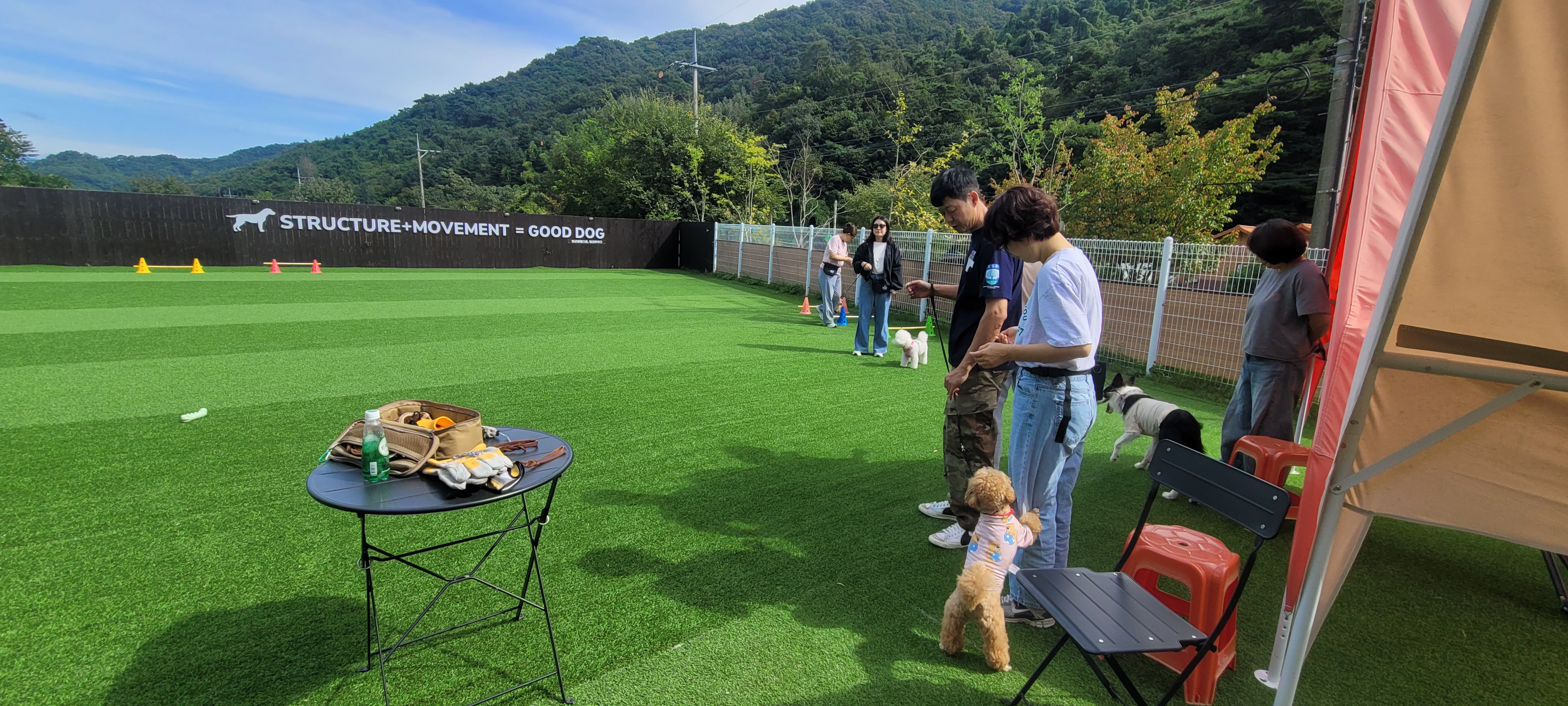 반려견 산책교육 1day 클래스